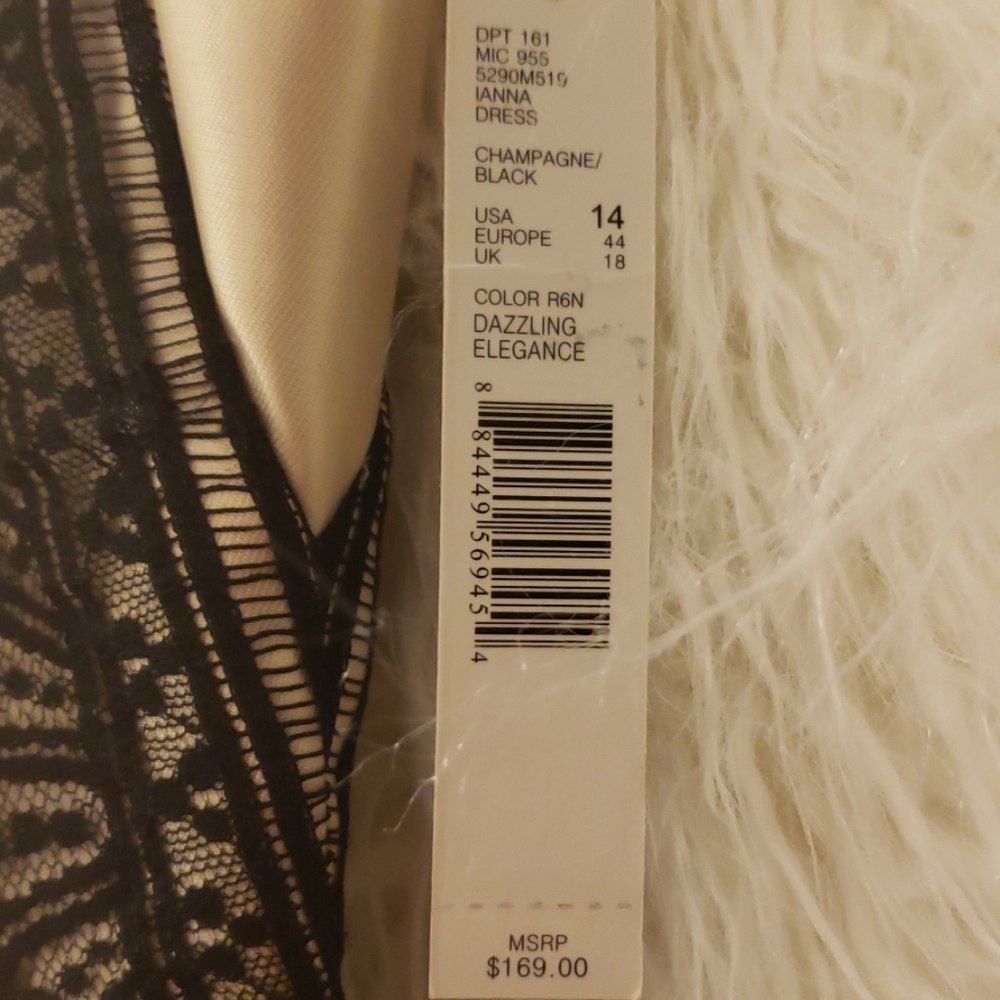 ANTONIO MELANI  chic champagne dress w/black lace - Picture 4 of 4